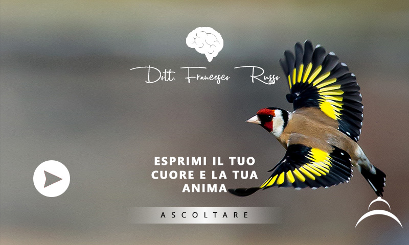 Francesco Russo, consulenze per gestire gli effetti negativi dell'economia dell'attenzione, workhaolism, burnout, information overload, nomofobia, multitasking, stress e infodemia, attraverso la metacognizione per il benessere digitale