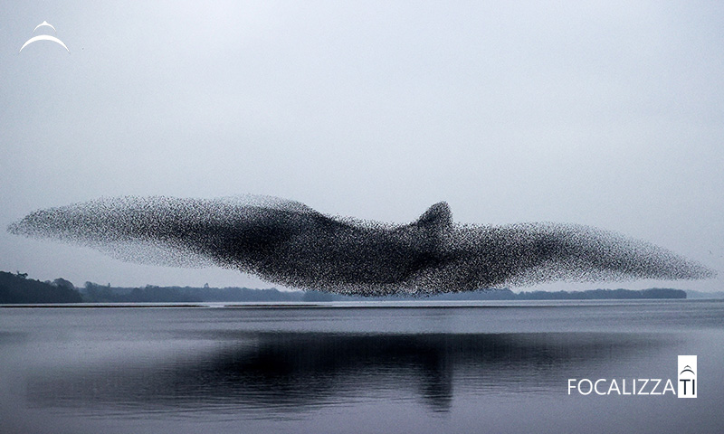 Francesco Russo, consulenze per gestire gli effetti negativi dell'economia dell'attenzione, workhaolism, burnout, information overload, nomofobia, multitasking, stress e infodemia, attraverso la metacognizione per il benessere digitale