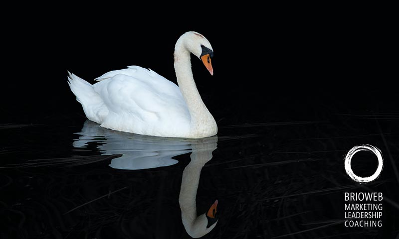 Francesco Russo, consulenze per gestire gli effetti negativi dell'economia dell'attenzione, workhaolism, burnout, information overload, nomofobia, multitasking, stress e infodemia, attraverso la metacognizione per il benessere digitale